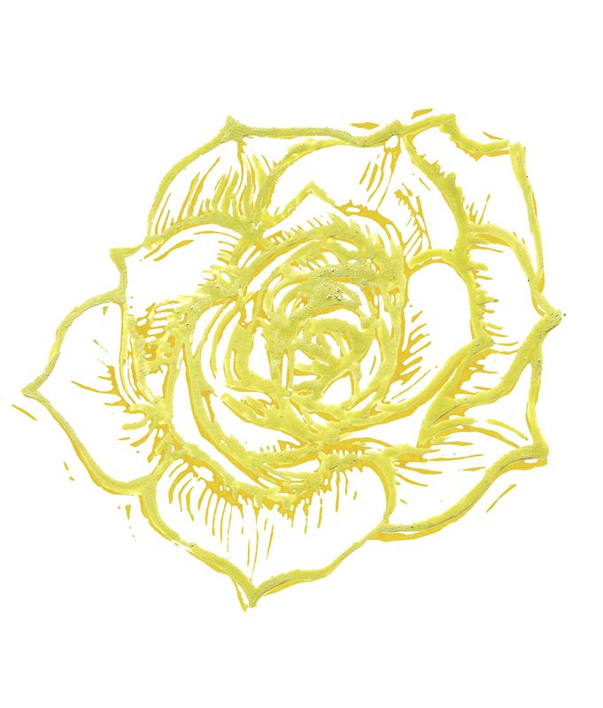 Zlatožltá ruža Gertrud Wurmovej